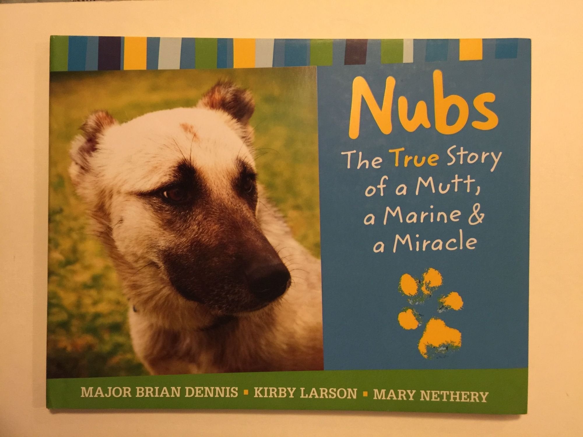Nubs: The True Story Of A Mutt, A Marine & A Miracle