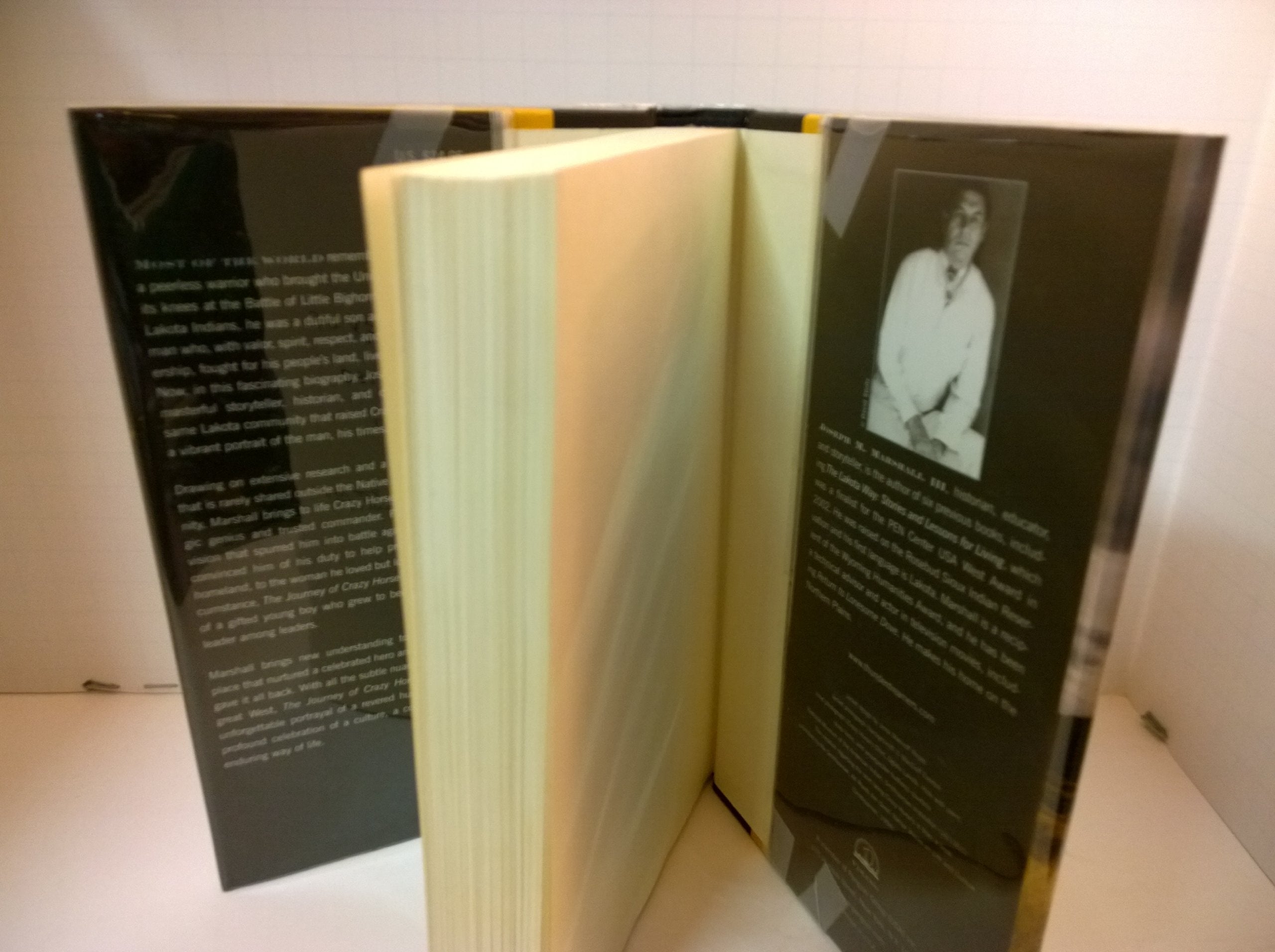 The Journey of Crazy Horse: A Lakota History,New