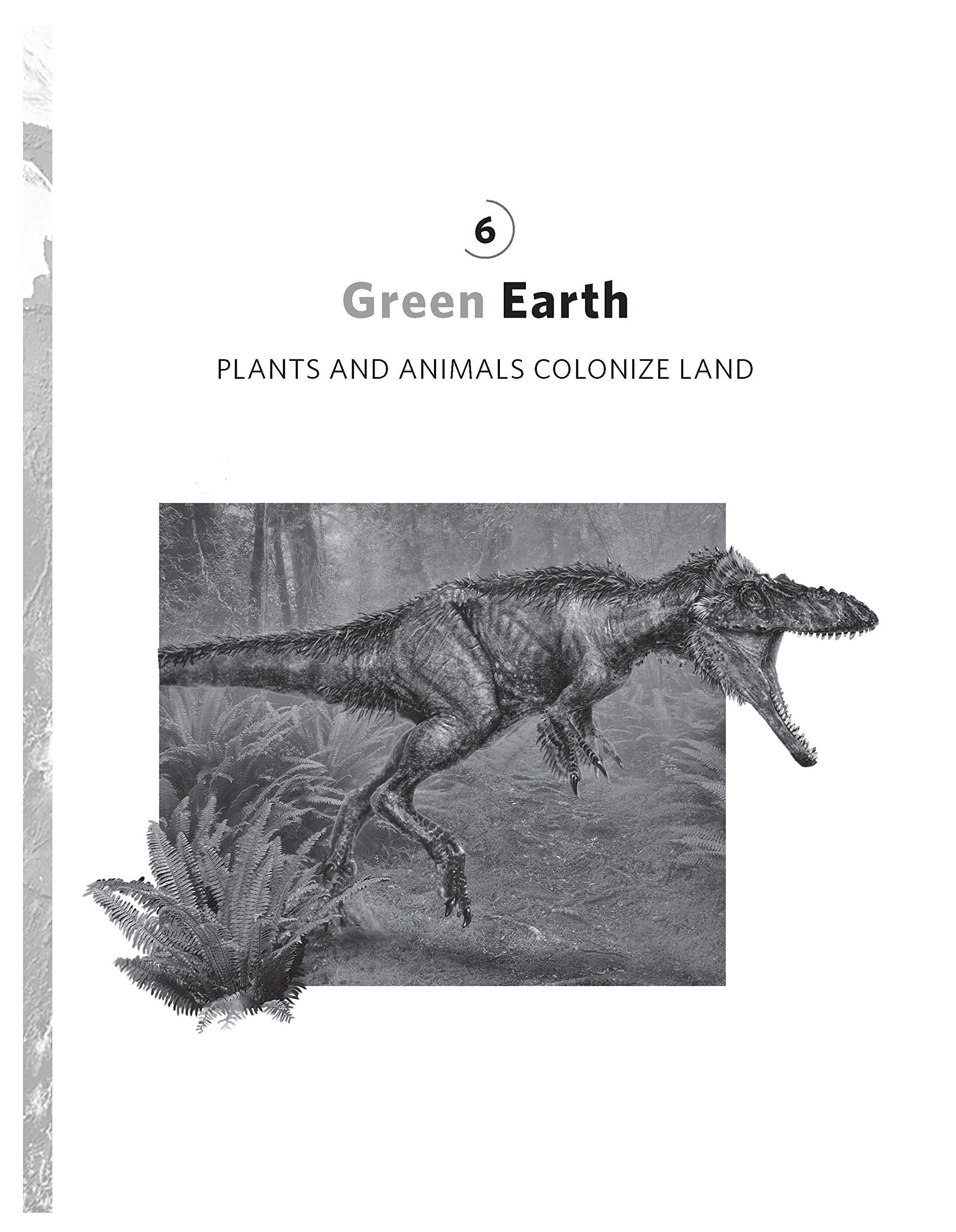 A Brief History Of Earth: Four Billion Years In Eight Chapters-used