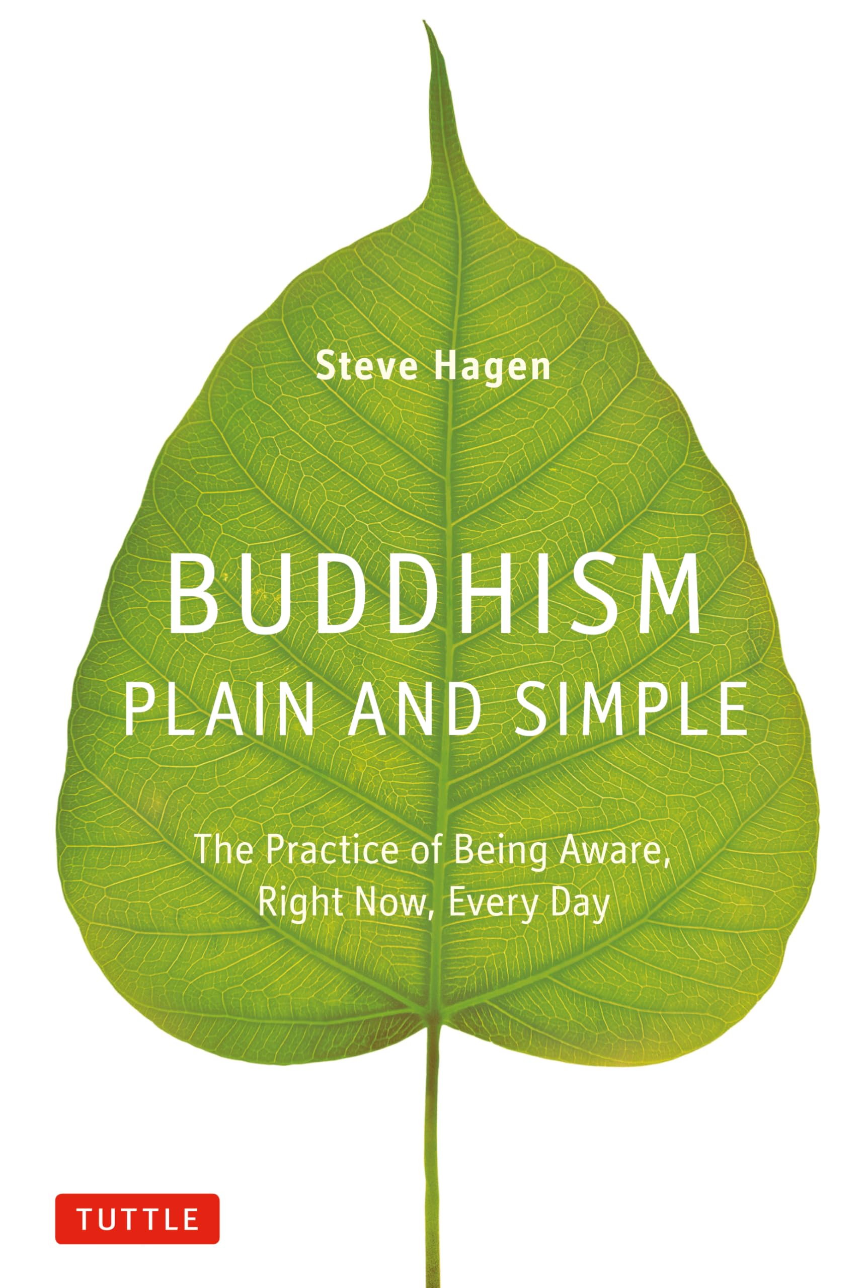 Buddhism Plain And Simple: The Practice Of Being Aware, Right Now, Every Day