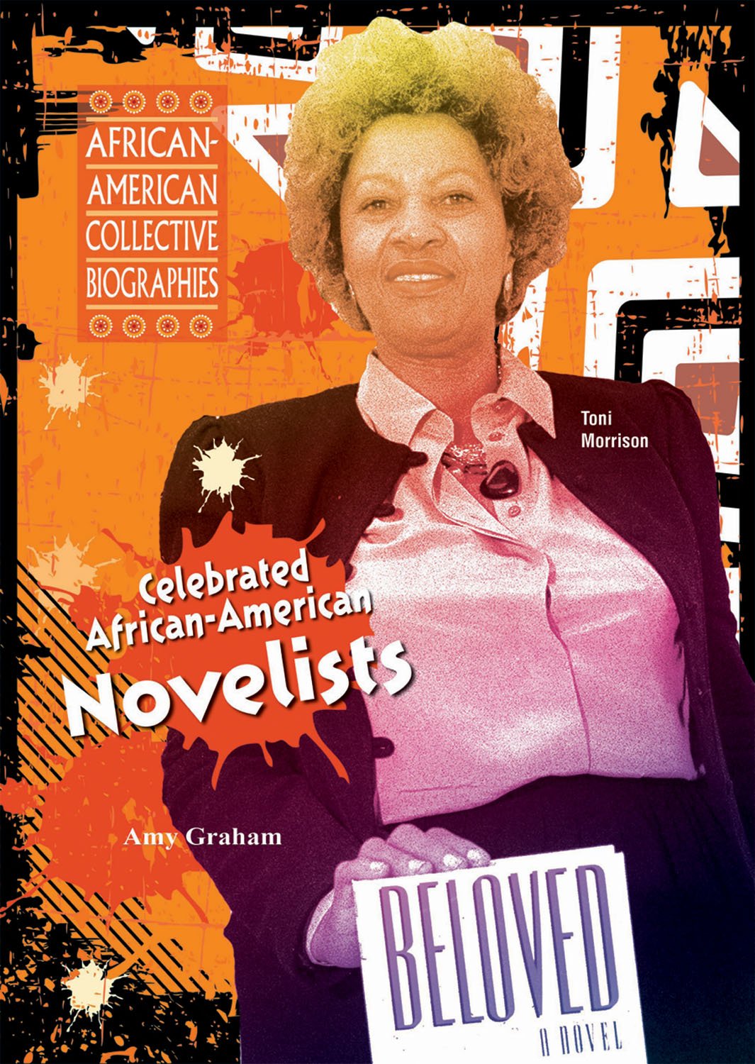 Celebrated Africanamerican Novelists (Africanamerican Collective Biographies),Used