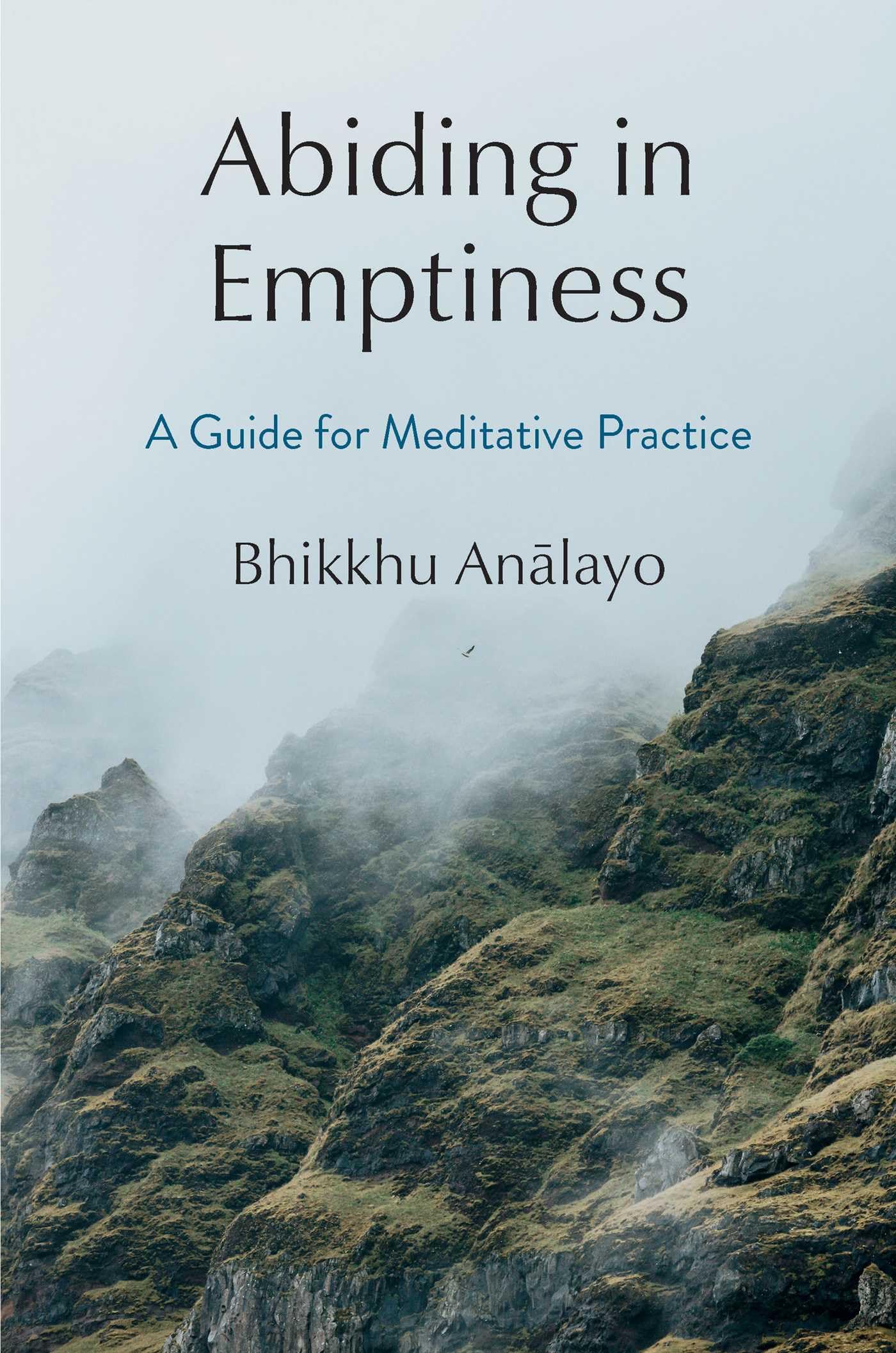 Abiding In Emptiness: A Guide For Meditative Practice,Used