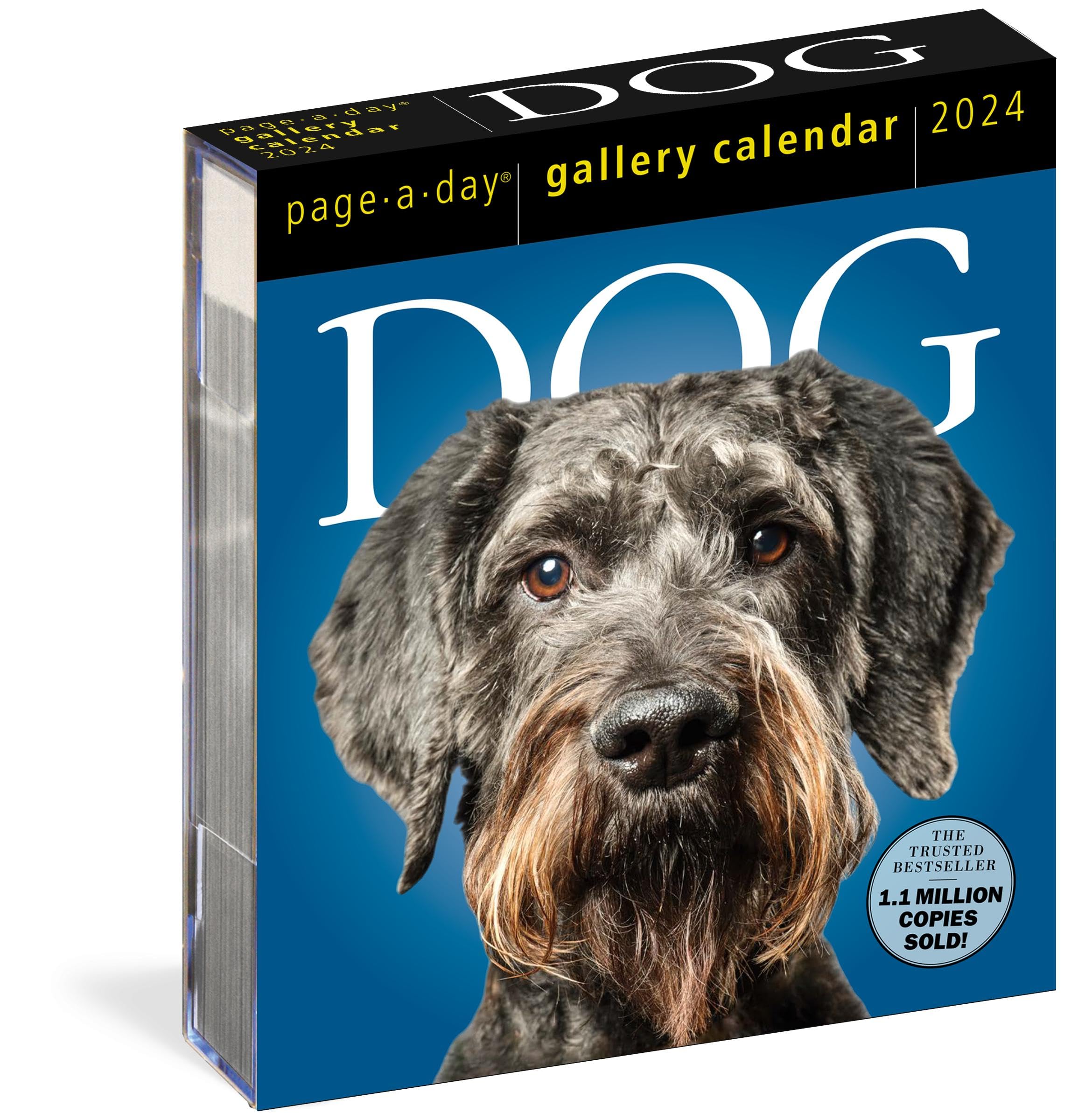 Dog Pageaday Gallery Calendar 2024: An Elegant Canine Celebration