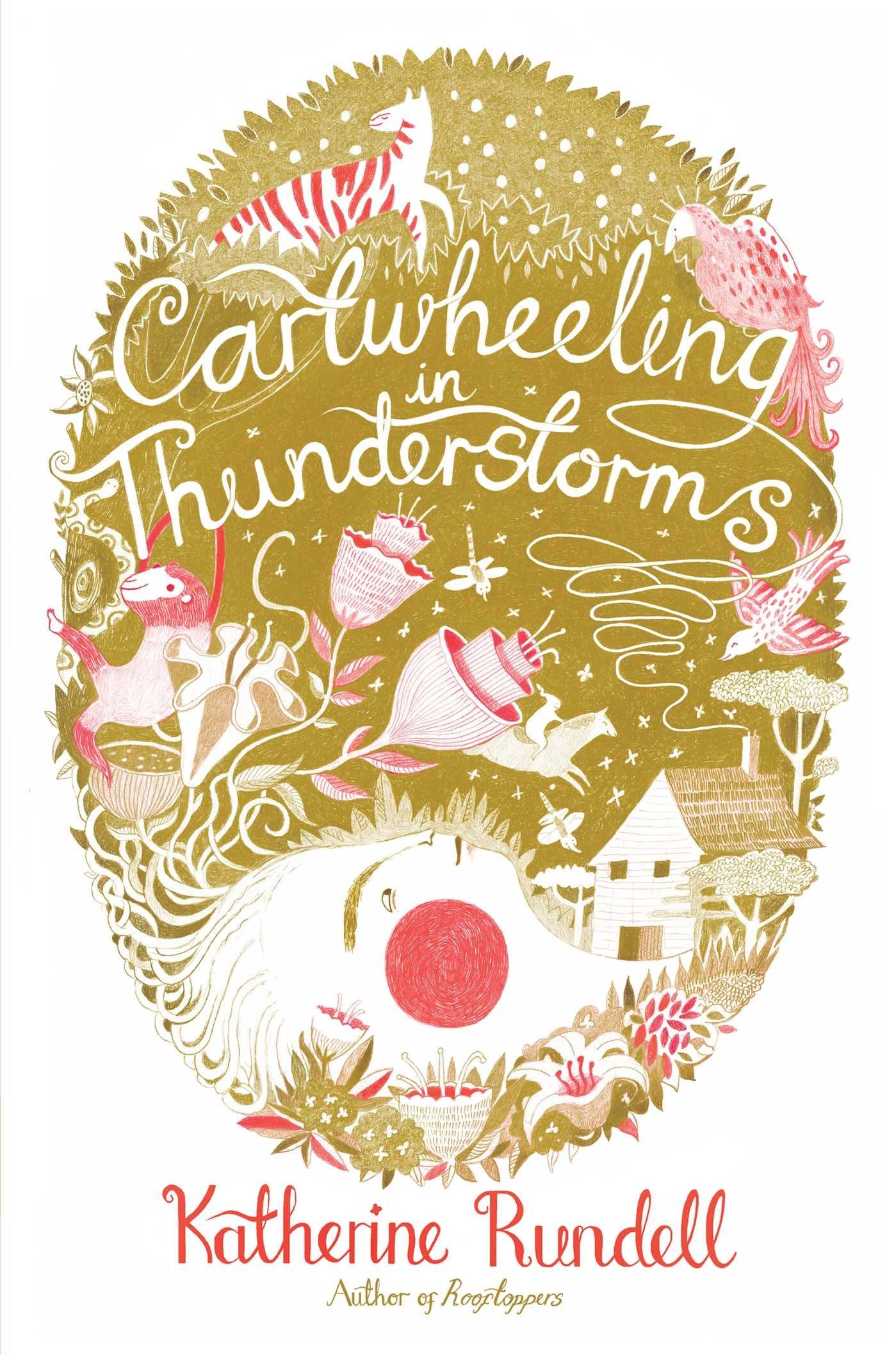 Cartwheeling in Thunderstorms,Used