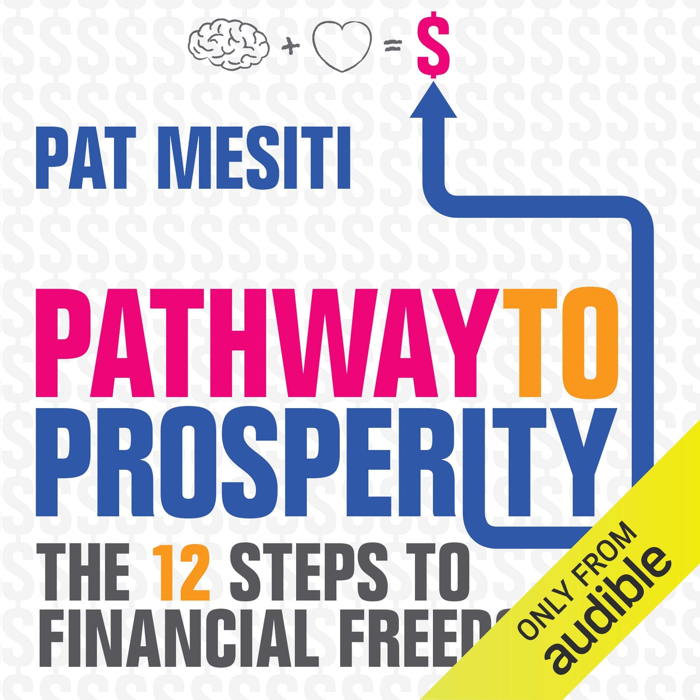 Pathway to Prosperity: The 12 Steps to Financial Freedom,Used