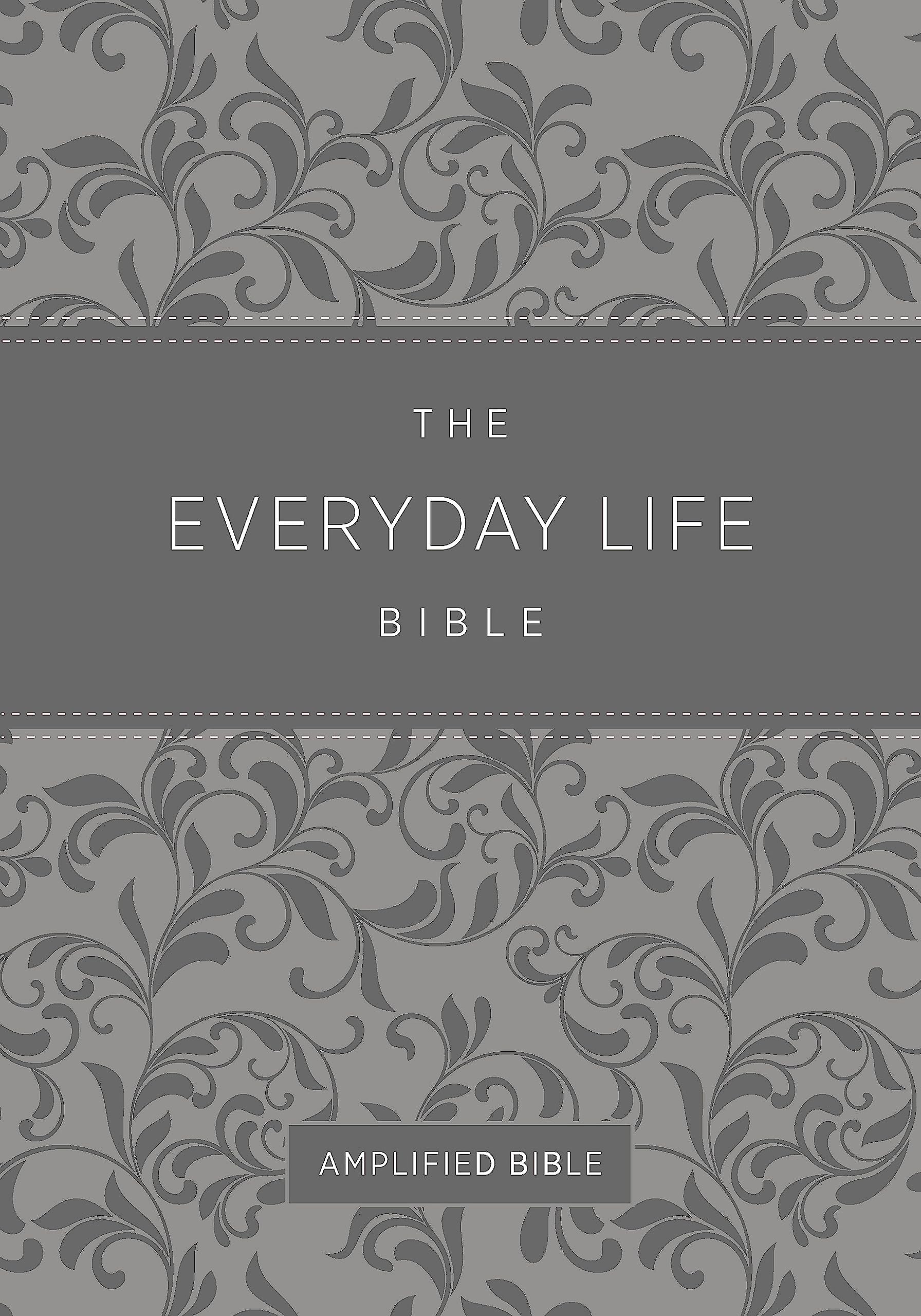 The Everyday Life Bible: Gray Leatherluxe: The Power Of God'S Word For Everyday Living