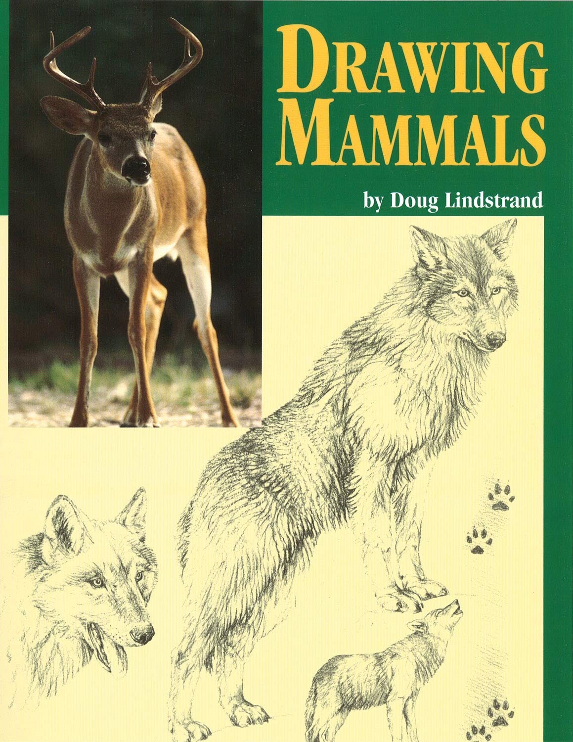 Drawing Mammals: An Artist's Reference Guide to North American Animals (Fox Chapel Publishing) Sourdough Studio Book,Used