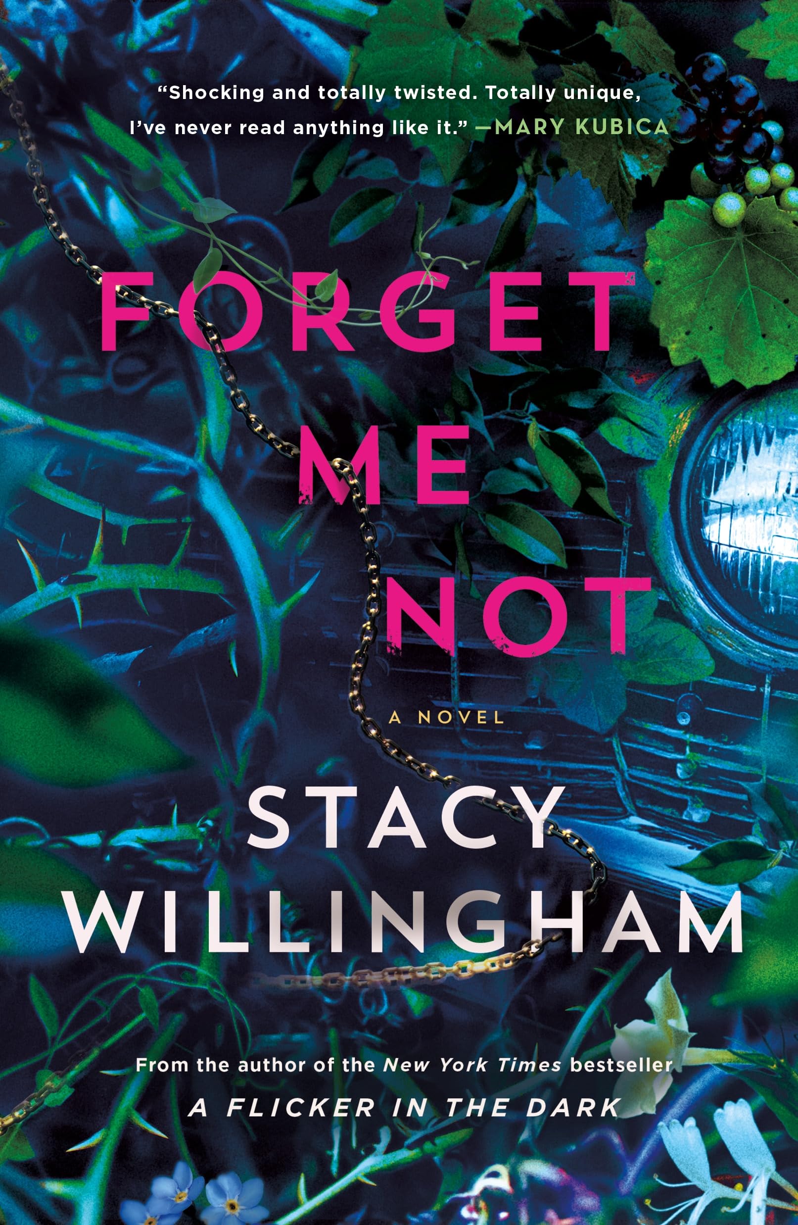 Forget Me Not: A Novel