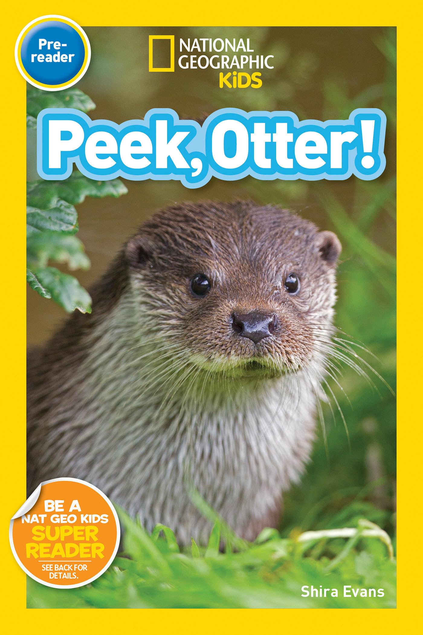 Peek, Otter! (National Geographic Kids Readers, PreReader),Used