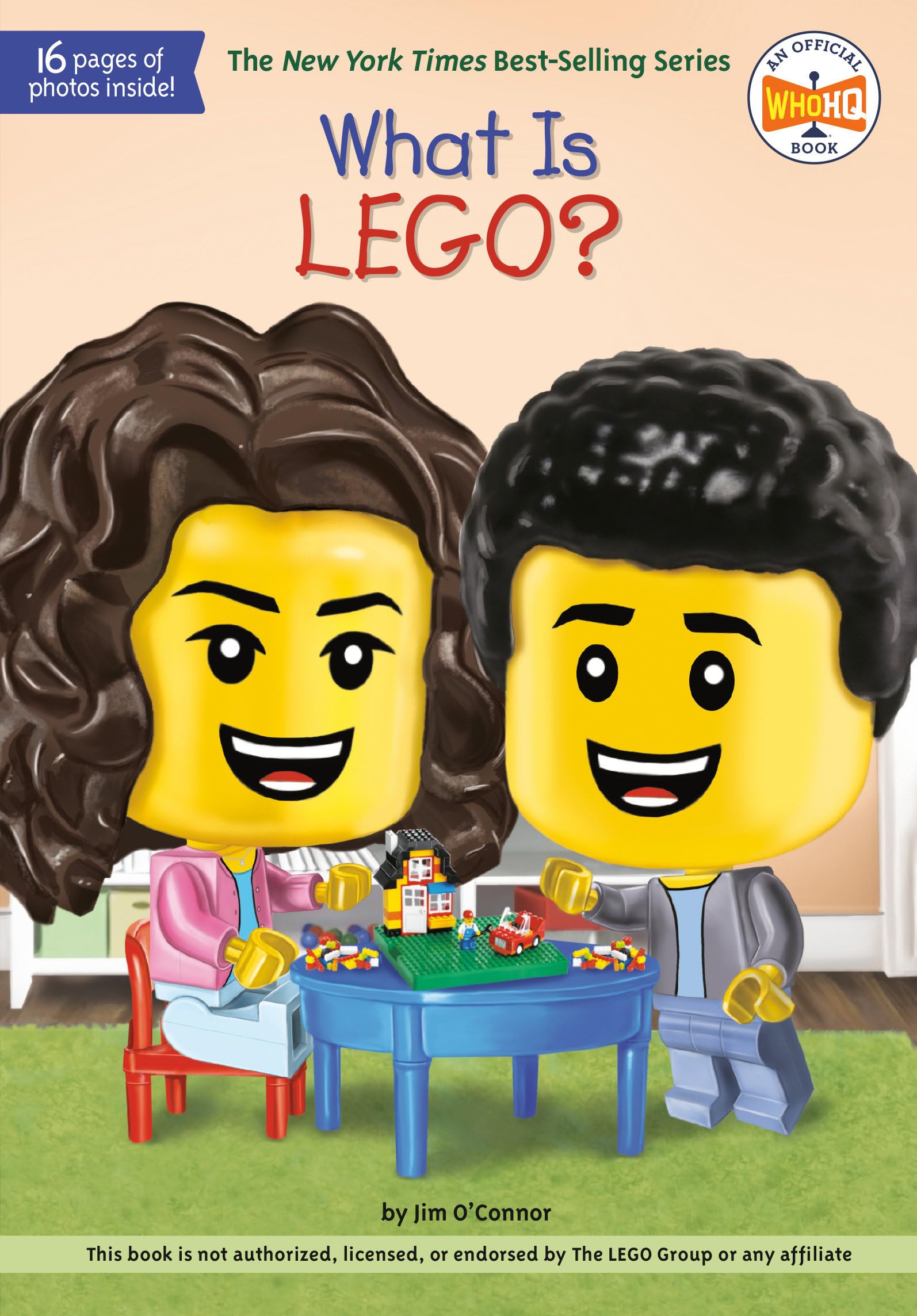 What Is LEGO? (What Was?),Used
