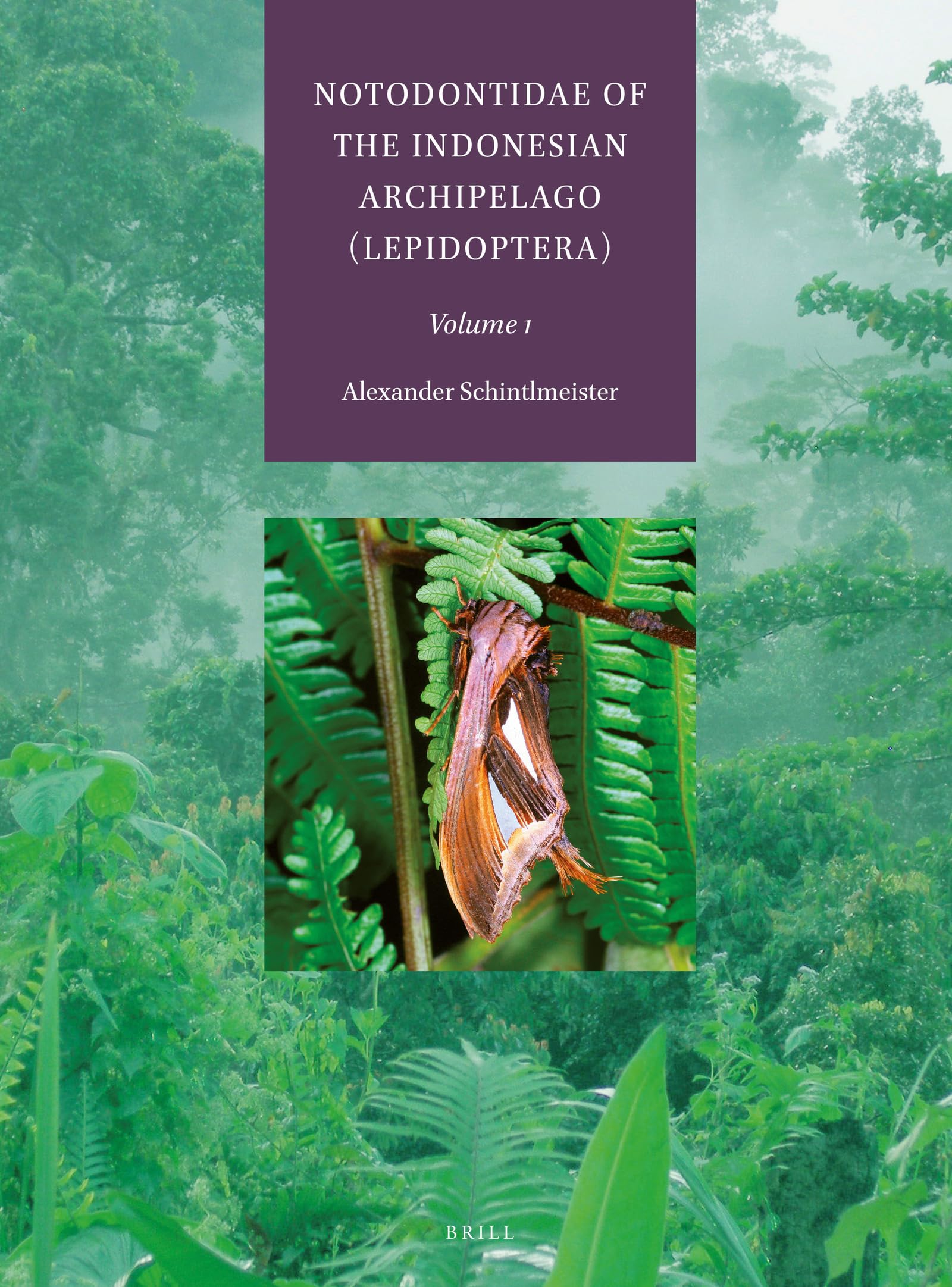 Notodontidae of the Indonesian Archipelago Vol. 1,Used