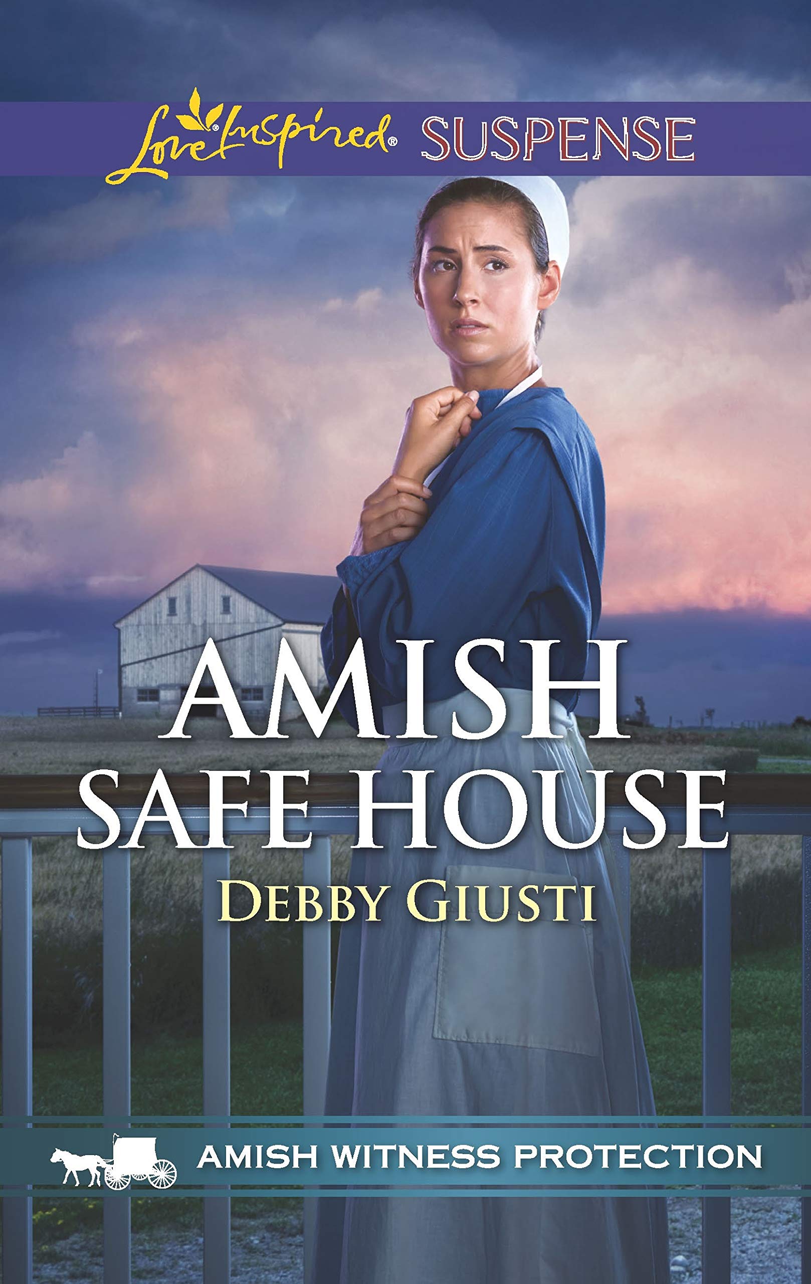 Amish Safe House (Amish Witness Protection, 2),Used