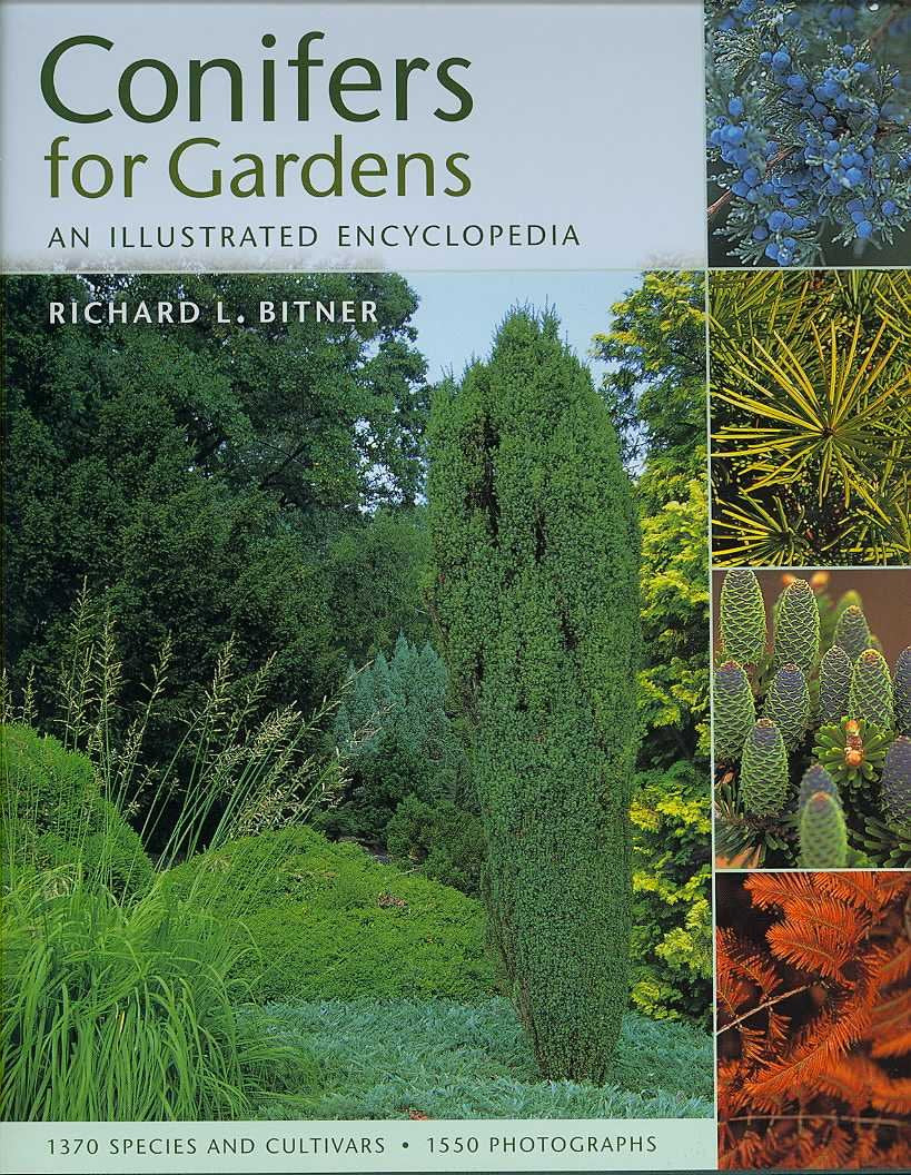 Conifers for Gardens: An Illustrated Encyclopedia,Used