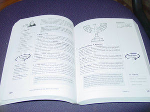 Daniel (God's Word for the BiblicallyInept Series : New International Version),Used