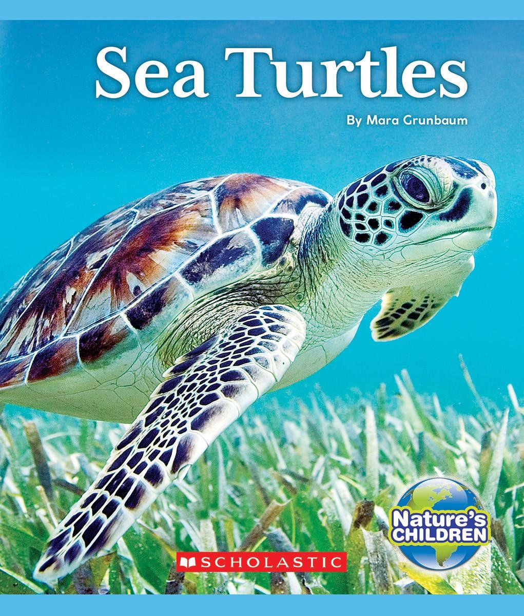 Sea Turtles (Nature's Children),Used