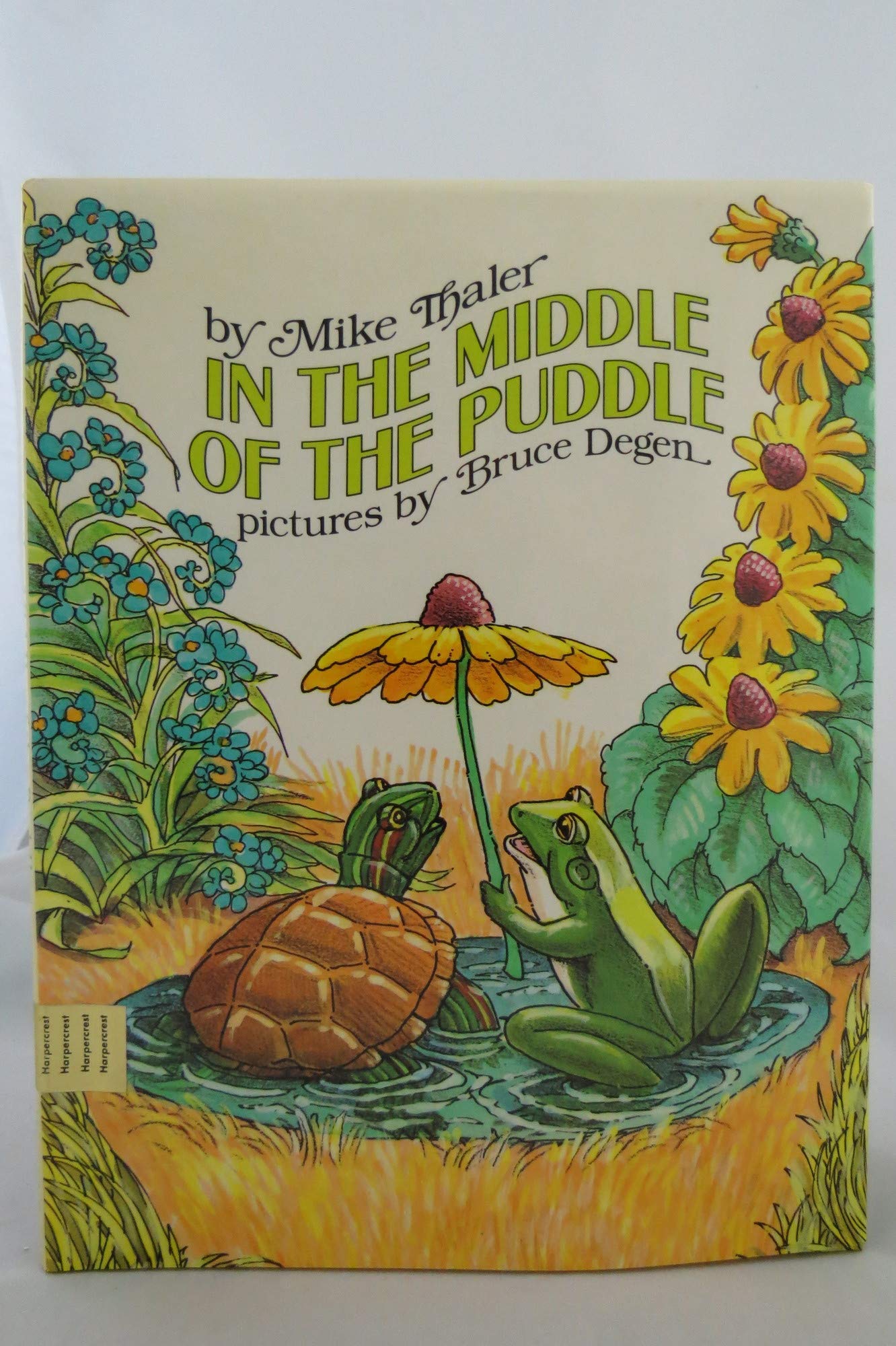 In the Middle of the Puddle,Used