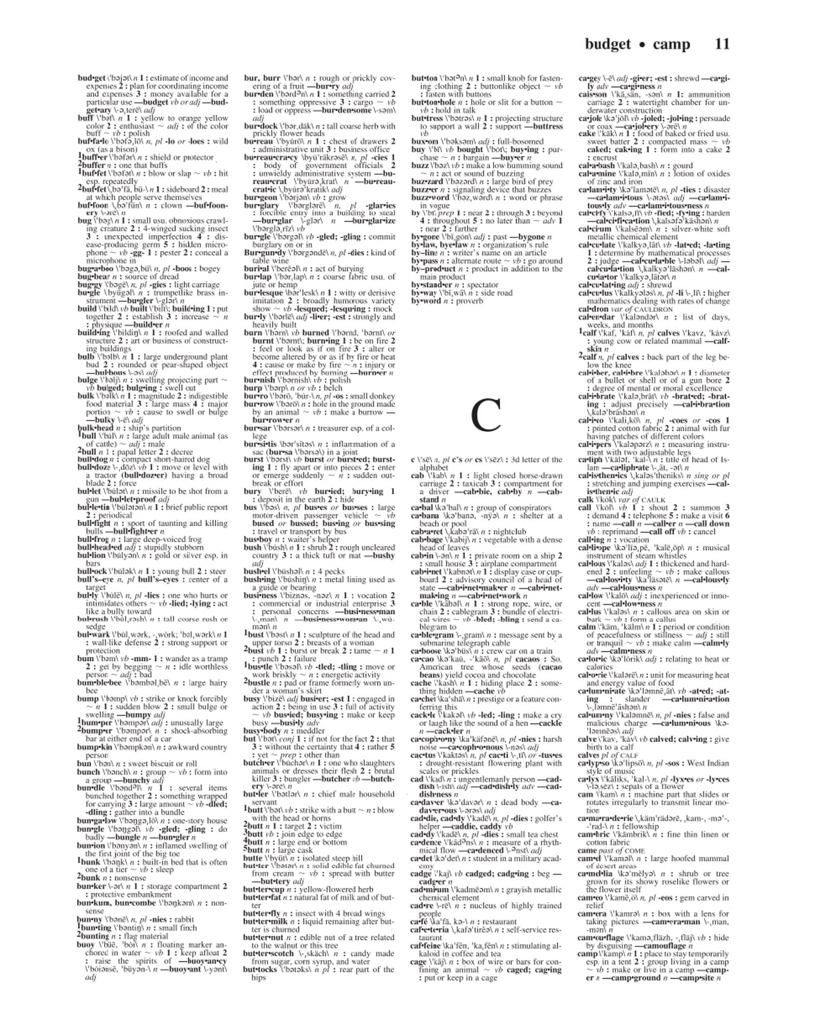 MerriamWebsters Notebook Dictionary,Used