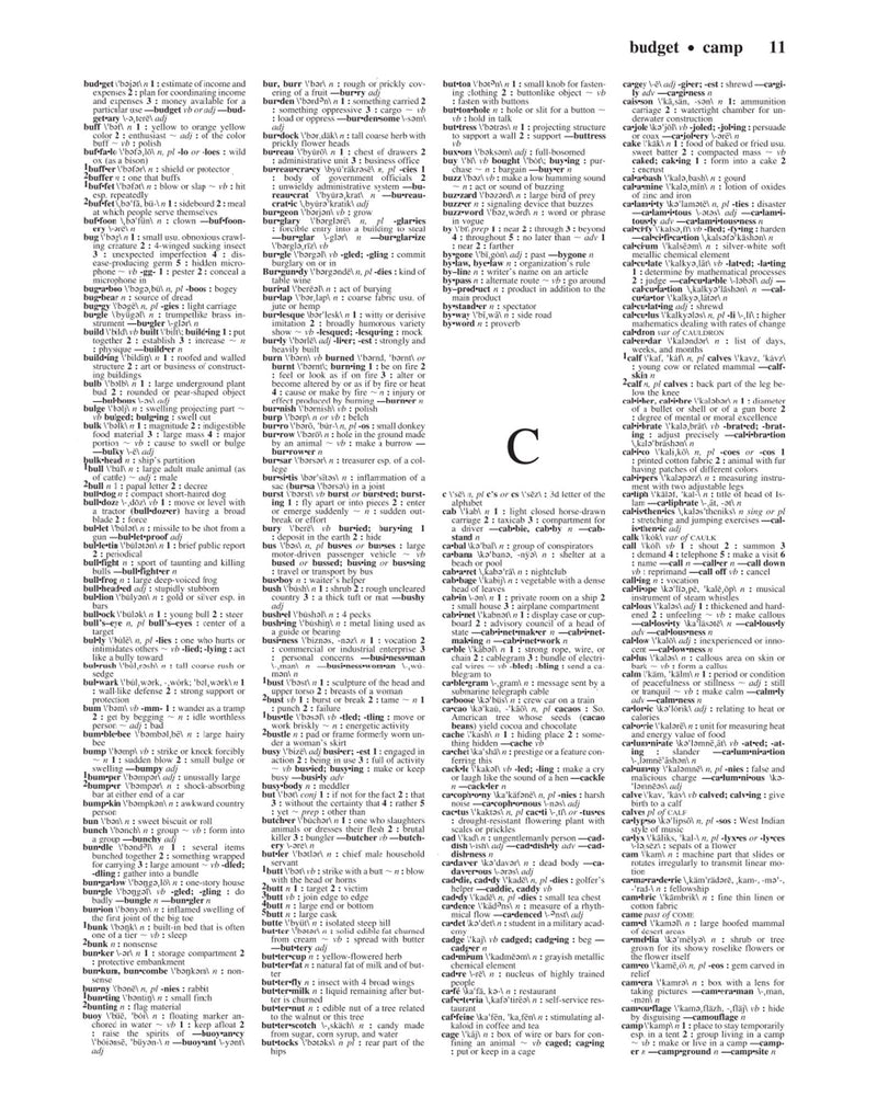 MerriamWebsters Notebook Dictionary,Used