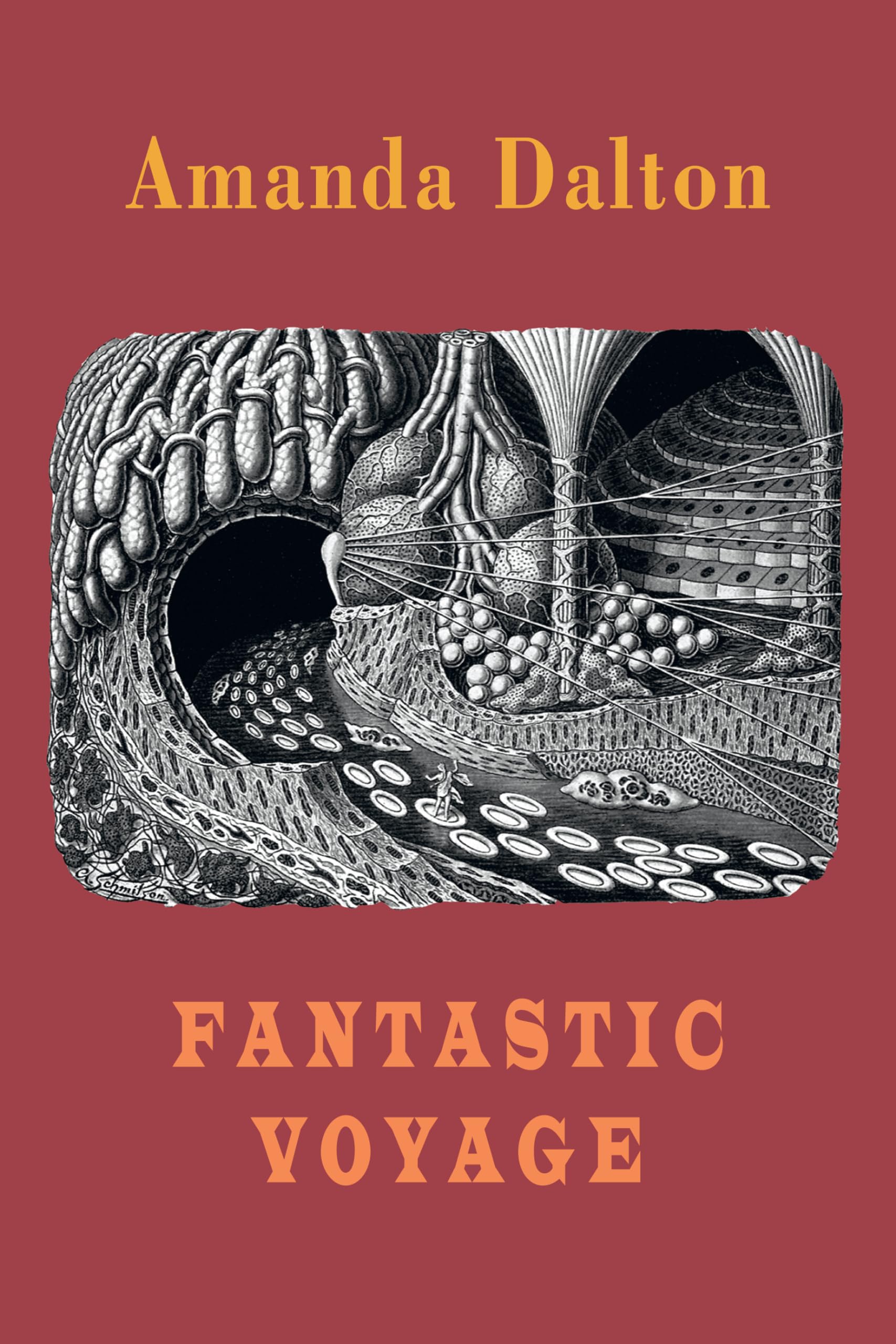 Fantastic Voyage,New