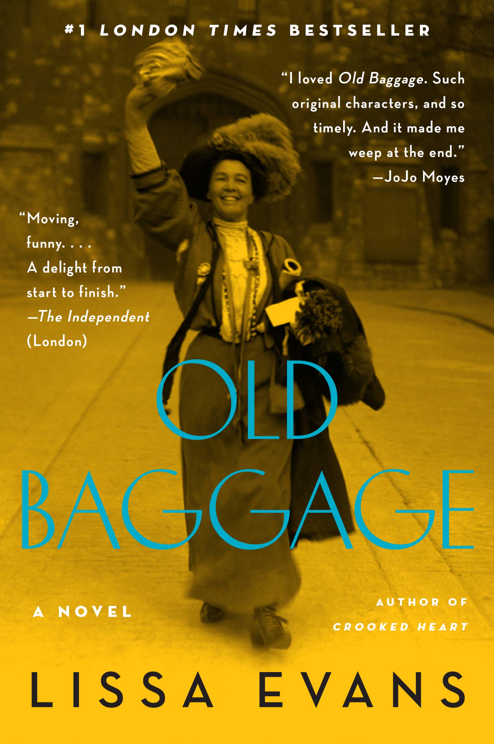 Old Baggage: A Novel,Used