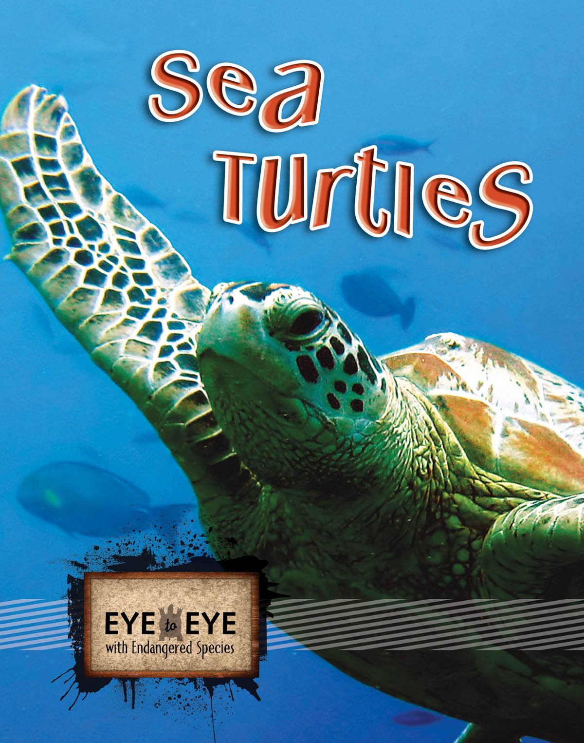 Sea Turtles (Eye To Eye With Endangered Species),New