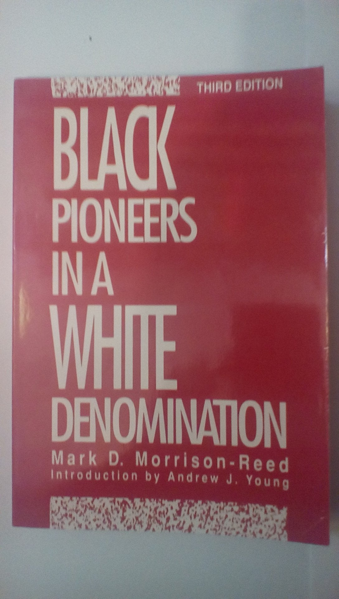 Black Pioneers in a White Denomination,Used
