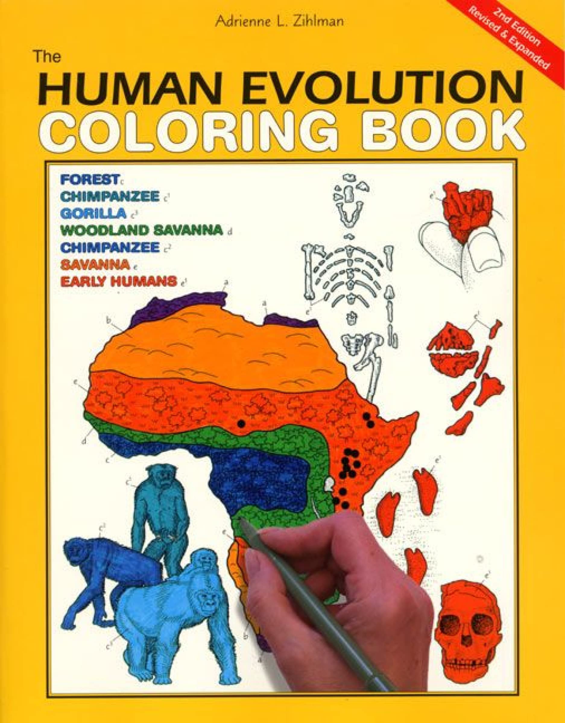 The Human Evolution Coloring Book,New