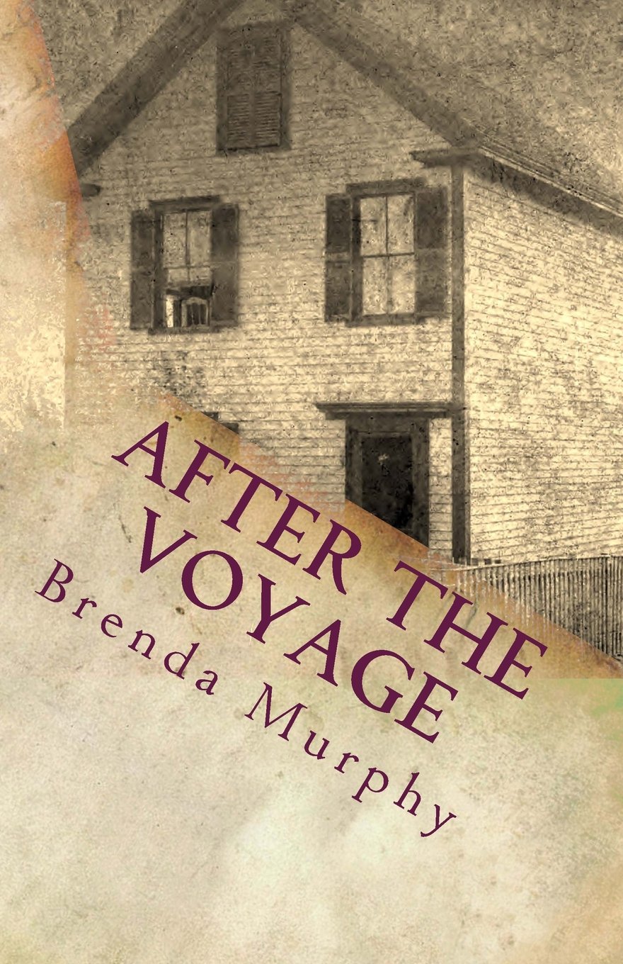 After the Voyage: An Irish American Story,Used