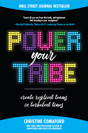 Power Your Tribe: Create Resilient Teams in Turbulent Times,Used