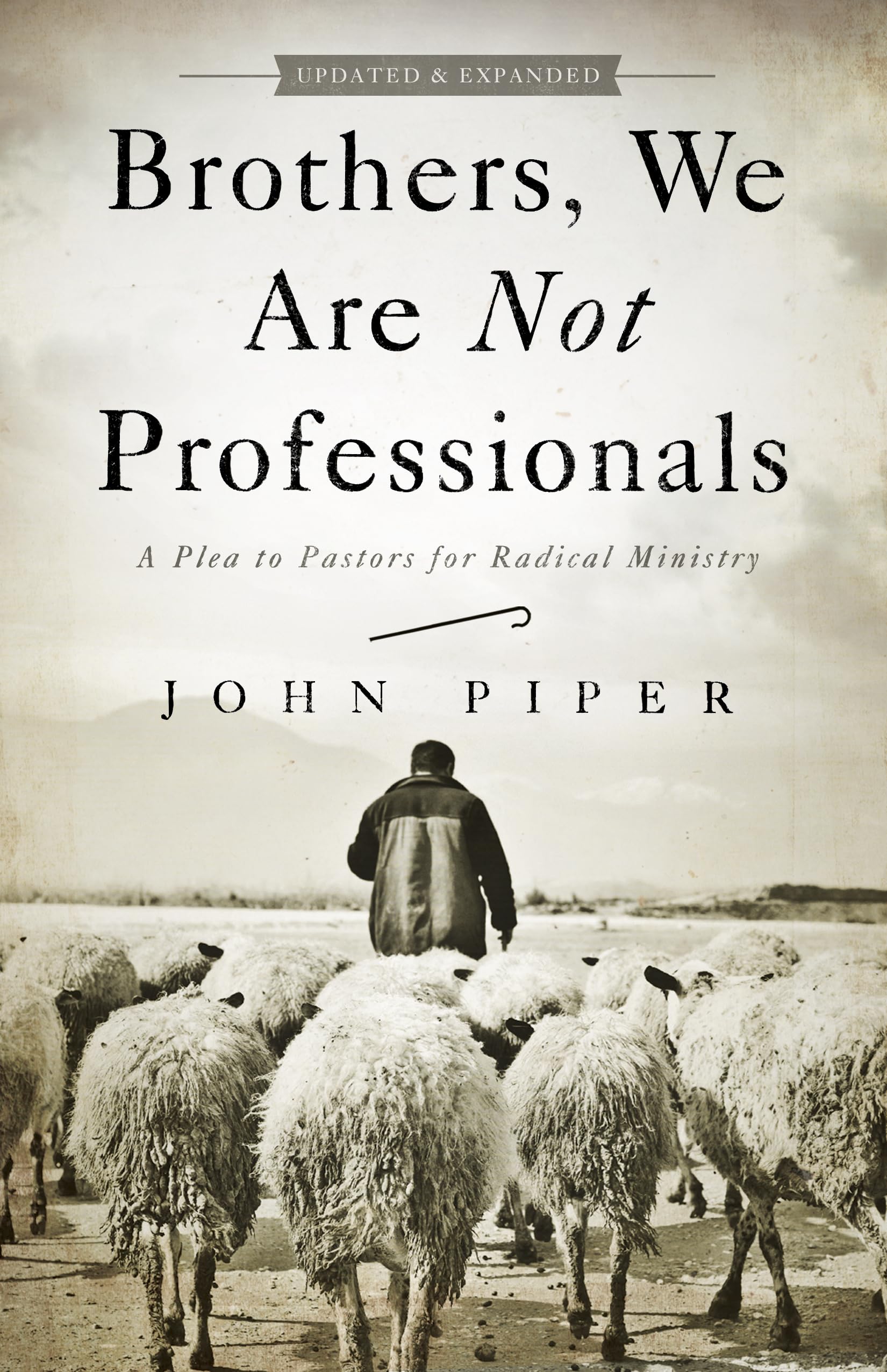 Brothers, We Are Not Professionals: A Plea to Pastors for Radical Ministry, Updated and Expanded Edition,Used