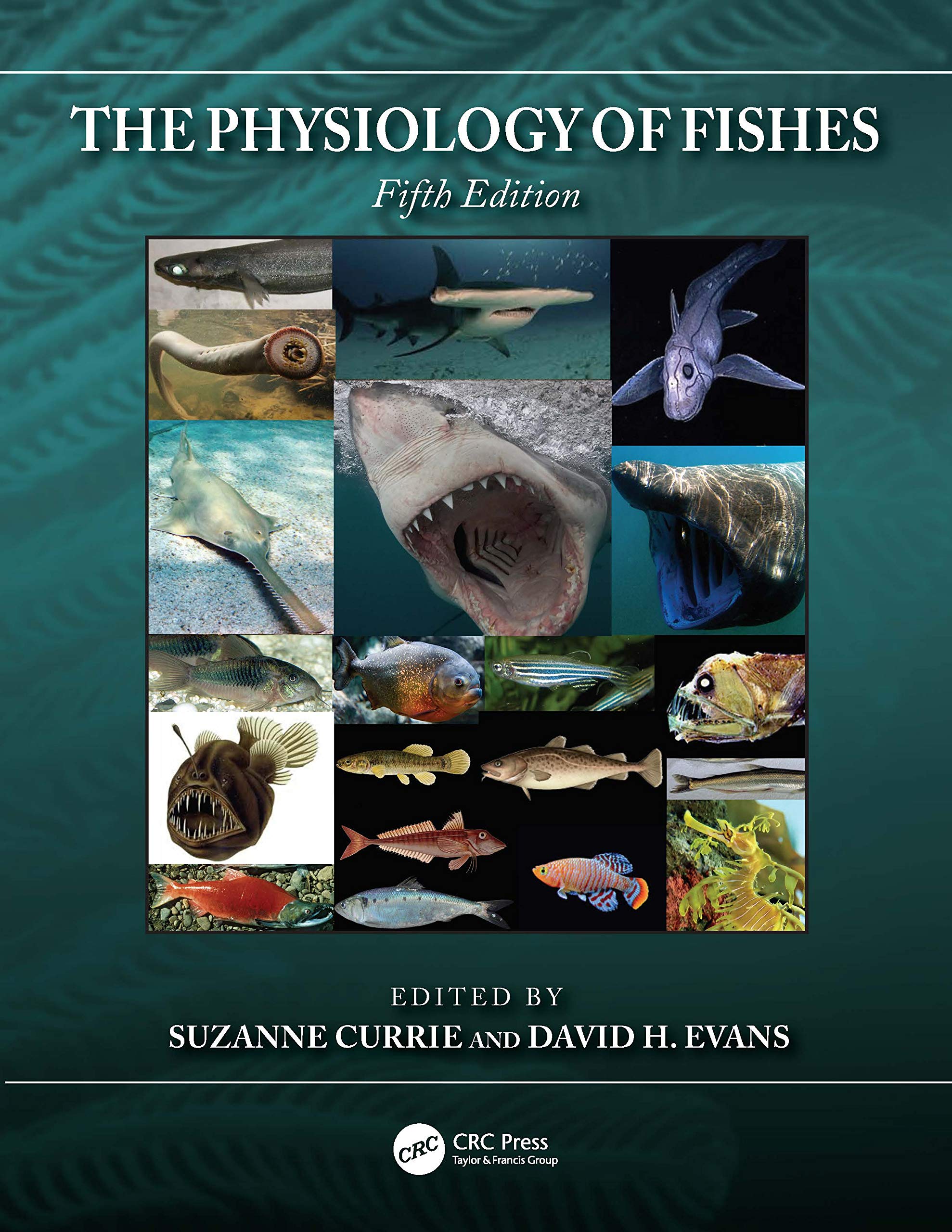 The Physiology of Fishes (CRC Marine Biology Series),Used