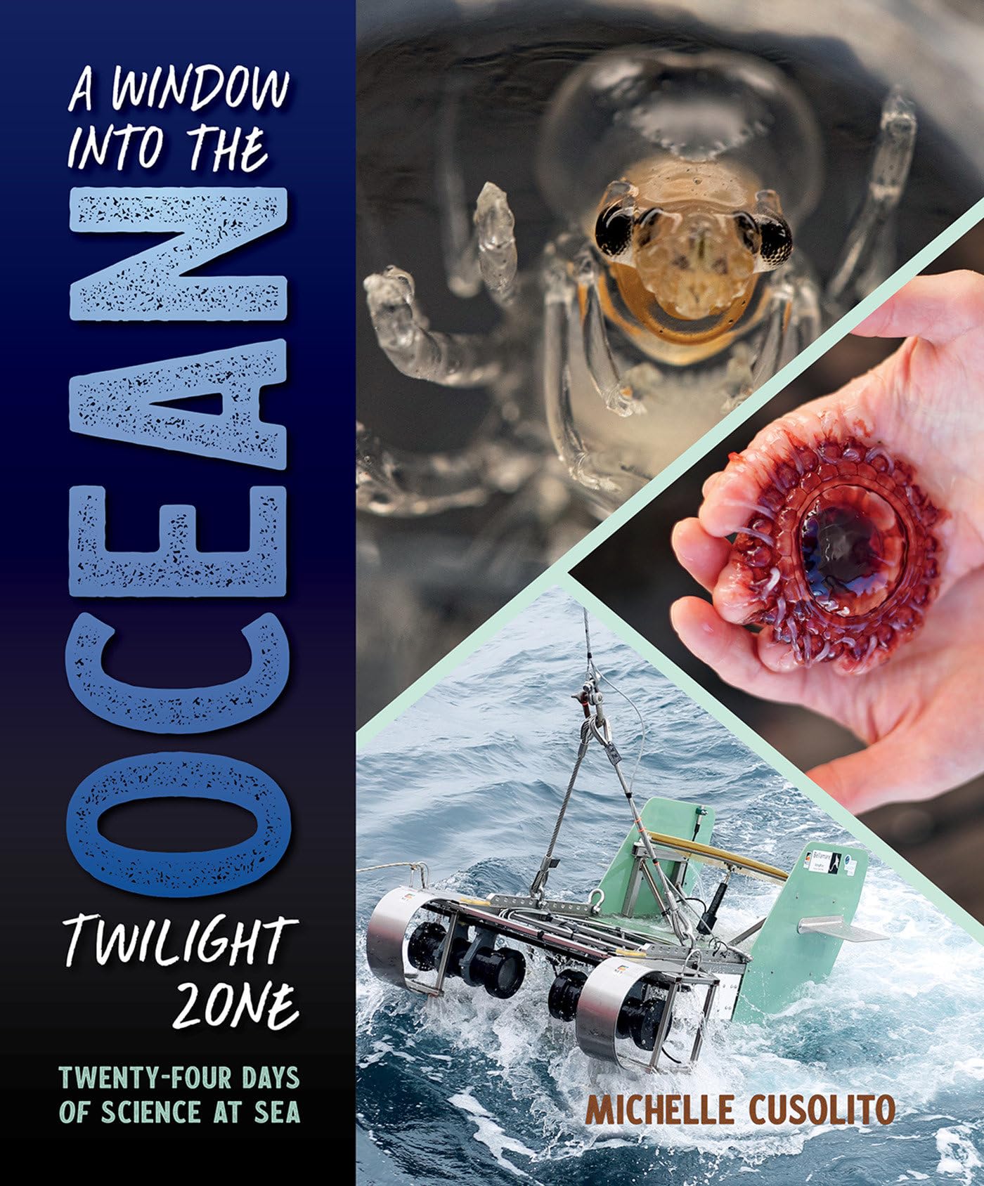 A Window Into The Ocean Twilight Zone: Twentyfour Days Of Science At Sea,Used