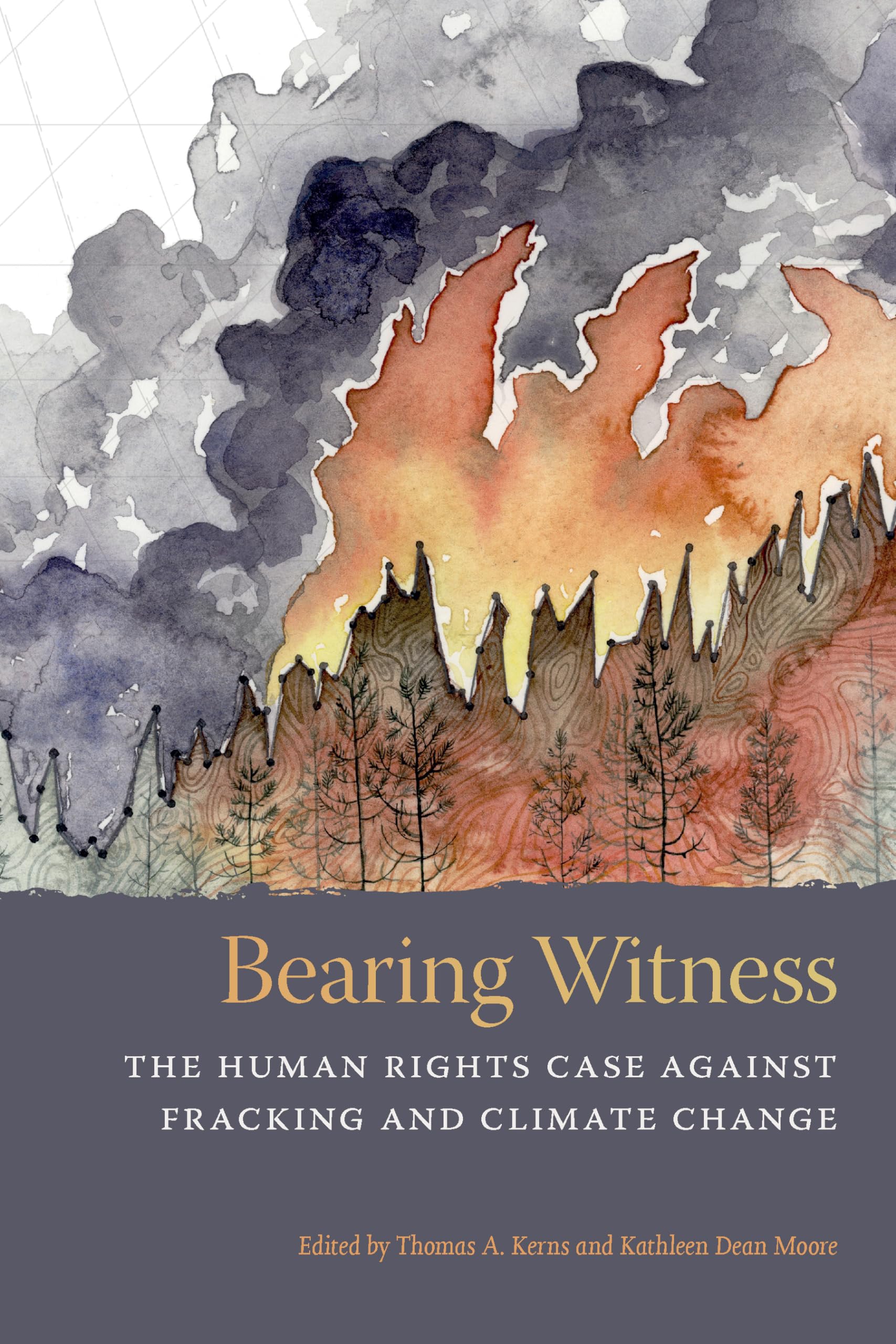Bearing Witness: The Human Rights Case Against Fracking and Climate Change,Used