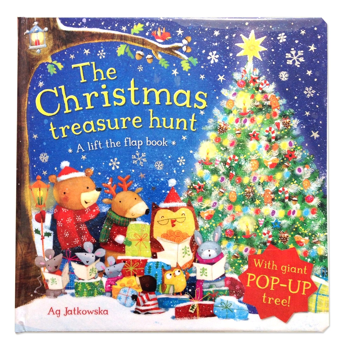 The Christmas Treasure Hunt: A Lift the Flap Book,Used