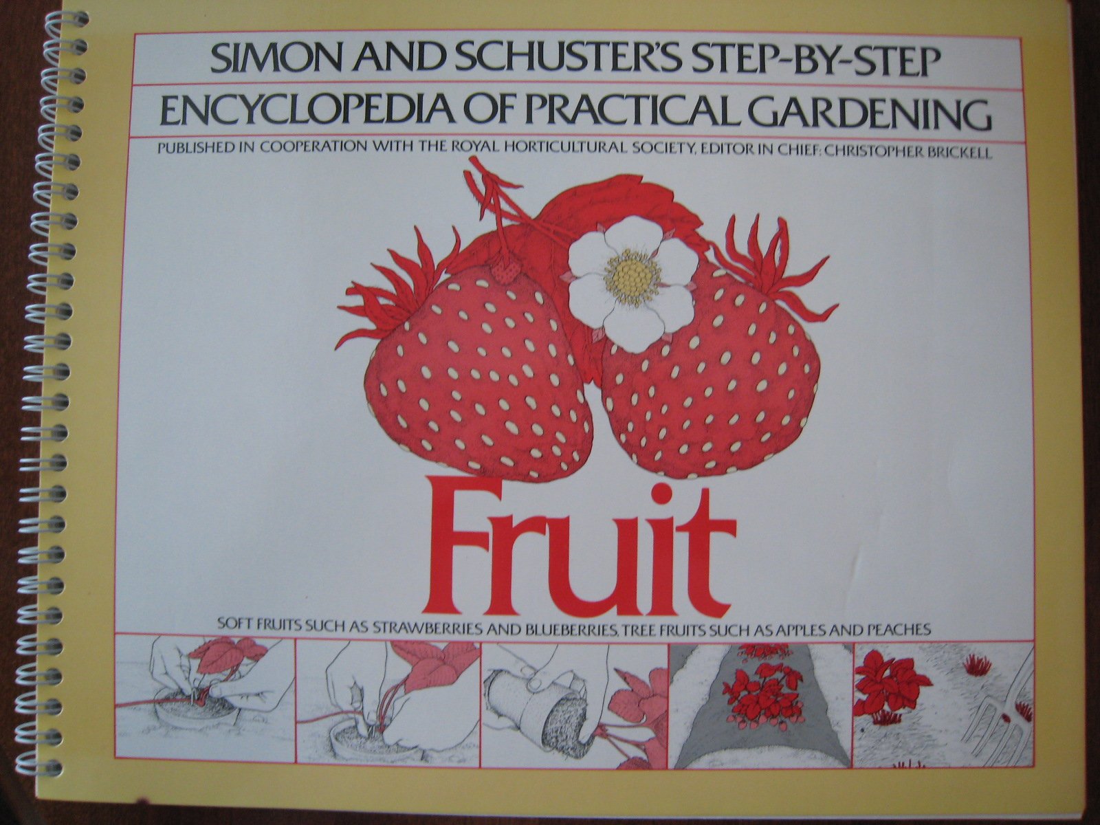 Fruit (Simon and Schuster StepByStep Encyclopedia of Practical Gardening)