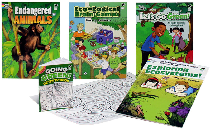 Go Green Fun Kit (Dover Fun Kits),Used