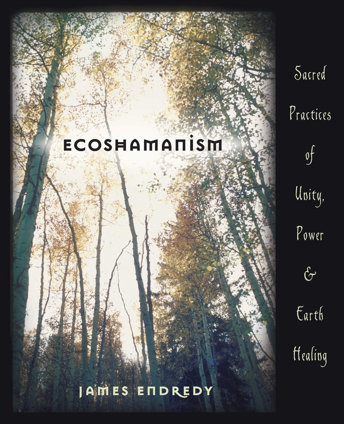 Ecoshamanism: Sacred Practices of Unity, Power and Earth Healing,Used
