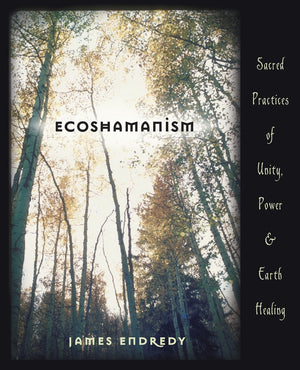 Ecoshamanism: Sacred Practices of Unity, Power and Earth Healing,Used