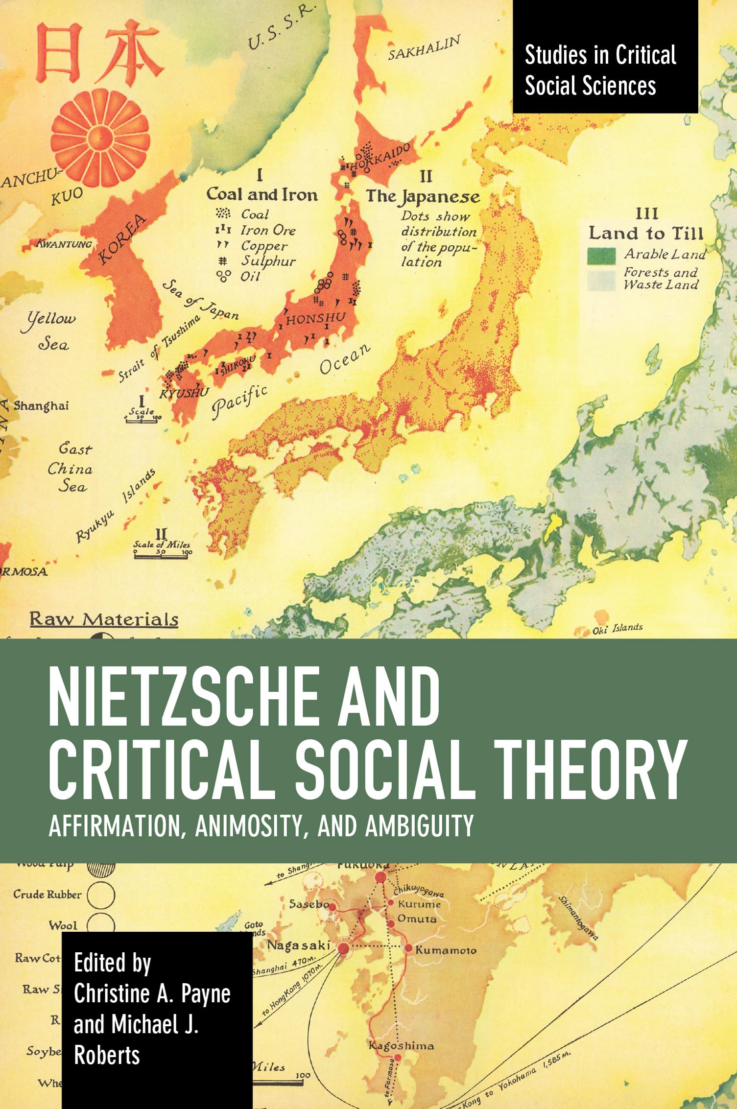 Nietzsche and Critical Social Theory: Affirmation, Animosity, and Ambiguity (Studies in Critical Social Sciences),Used