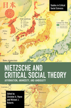 Nietzsche and Critical Social Theory: Affirmation, Animosity, and Ambiguity (Studies in Critical Social Sciences),Used