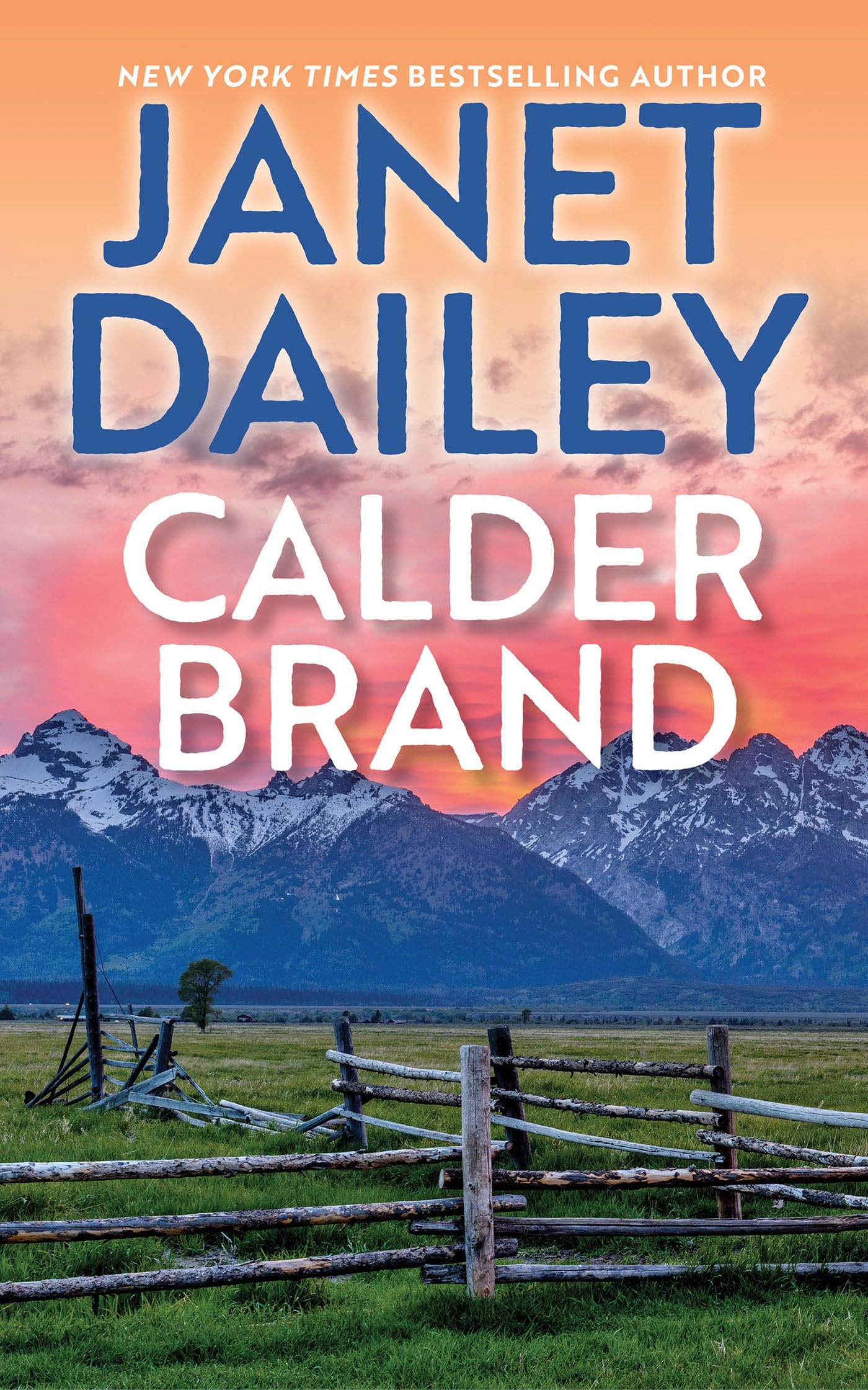 Calder Brand: A Beautifully Written Historical Romance Saga (The Calder Brand)