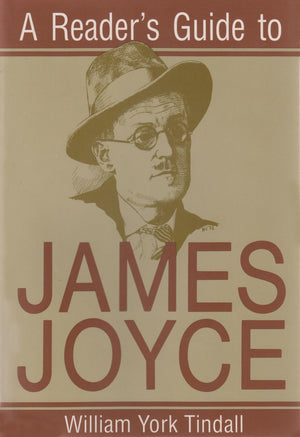 A Reader's Guide to James Joyce (Reader's Guides) (Irish Studies),New