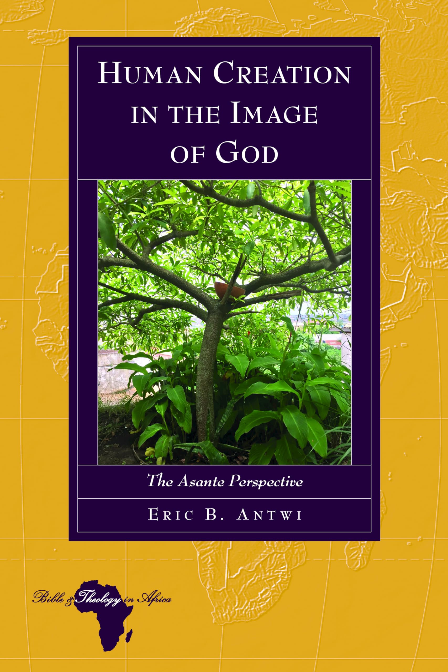 Human Creation in the Image of God (Bible and Theology in Africa),Used