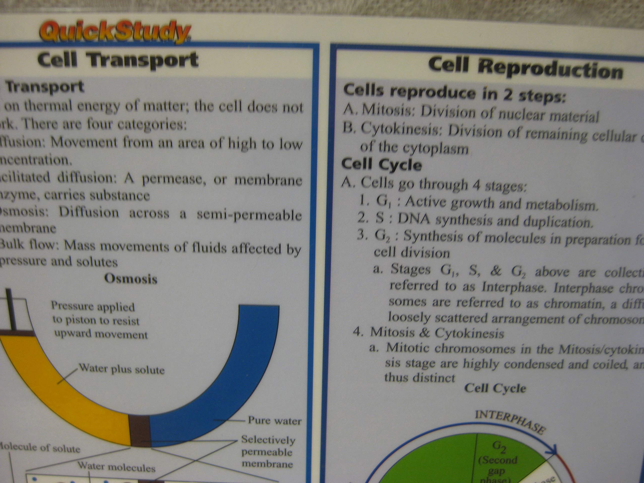 Biology (Quickstudy Reference Guides  Academic),New