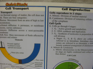 Biology (Quickstudy Reference Guides  Academic),New