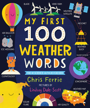 My First 100 Weather Words: A STEM Vocabulary Builder for Babies and Toddlers (My First STEAM Words),Used