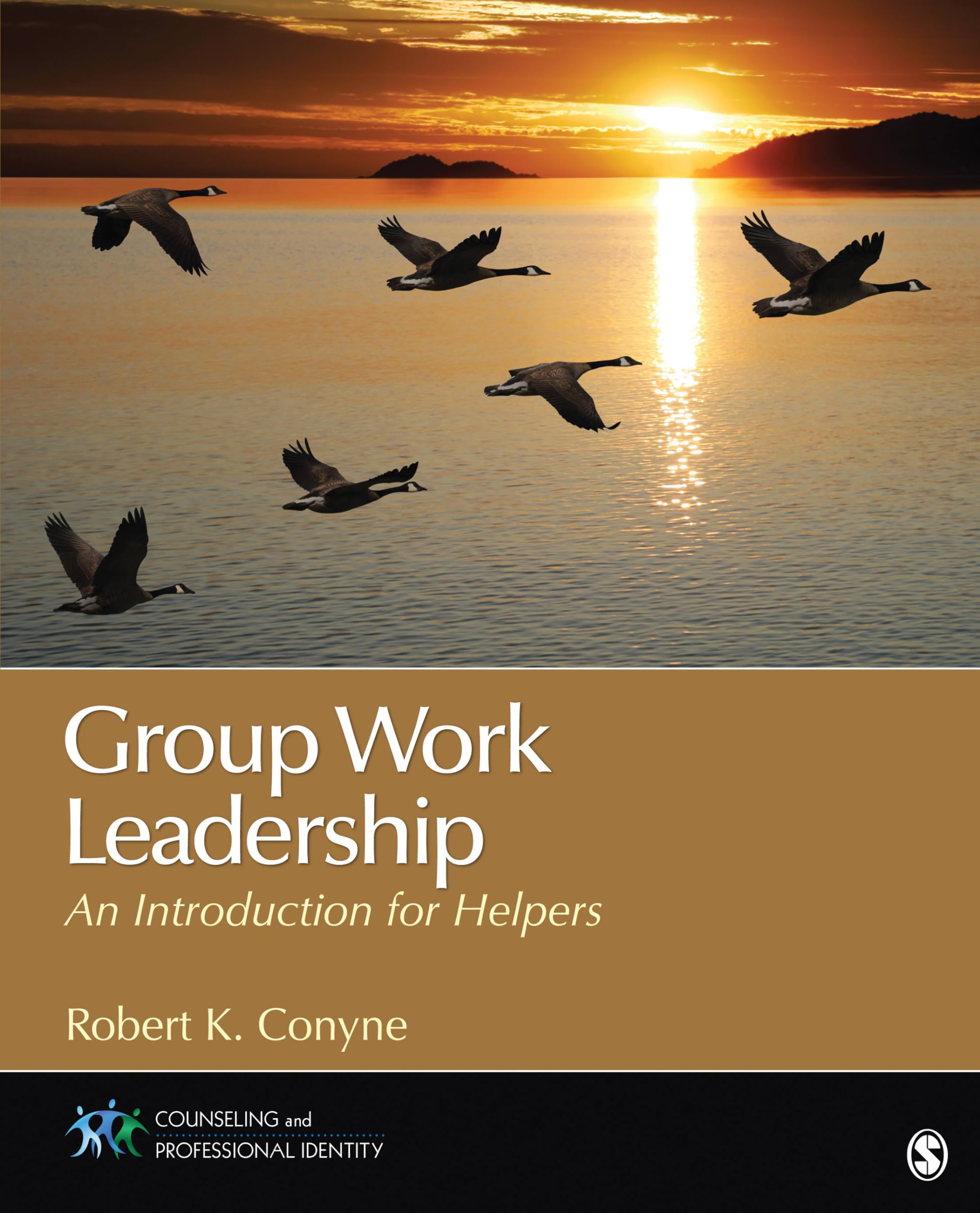 Group Work Leadership: An Introduction for Helpers (Counseling and Professional Identity),Used