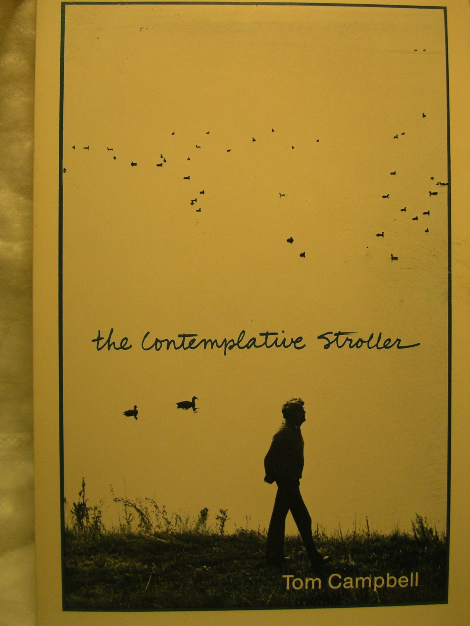 The contemplative stroller,Used