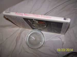 Painting Nature's Hidden Treasures : Advanced Techniques in Watercolor,Used