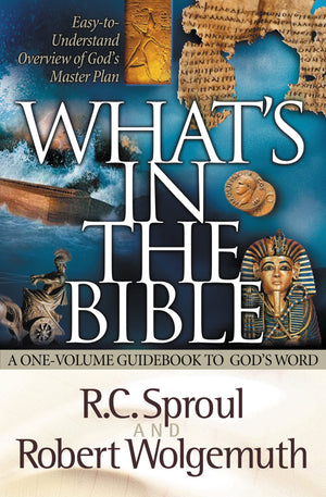 What's in the Bible: A OneVolume Guidebook to God's Word,Used